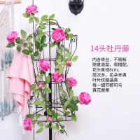 uploads/erp/collection/images/Home Garden/CongDing/XU0611822/img_b/XU0611822_img_b_2